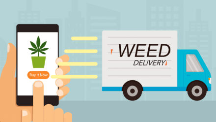 THE FAST-TRACK TO CANNABIS: QUICK WEED DELIVERY IN MISSISSAUGA 